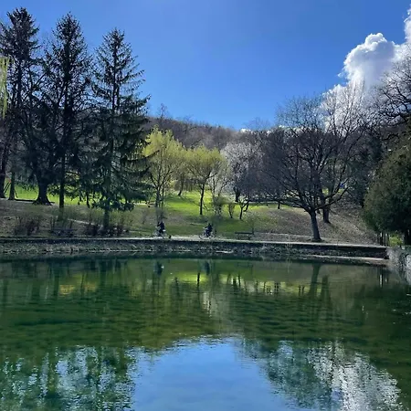 Bokorka Vendeghaz